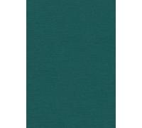 Sharks, Skates, and Rays: The Biology of Elasmobranch Fishes