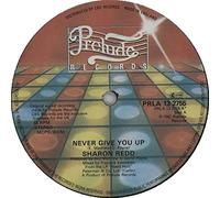SHARON REDD - in the name of love / never give you up 12