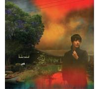 Sharon Van Etten We've Been Going About This All Wrong (Cassette)