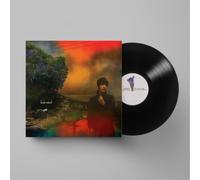 Sharon Van Etten We've Been Going About This All Wrong (Vinyl LP) 12" Album