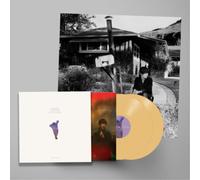 Sharon Van Etten We've Been Going About This All Wrong (Vinyl LP)
