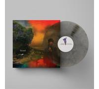 Sharon Van Etten We've Been Going About This All Wrong (Vinyl LP)