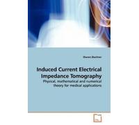 Sharon Zlochiver Induced Current Electrical Impedance Tomography (Tascabile)