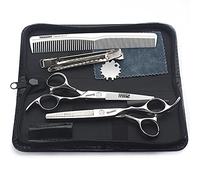 SHARONDS Set di forbici professionali da parrucchiere da 6 pollici per parrucchiere e parrucchiere, in acciaio inox speciale, multifunzione, set per parrucchieri