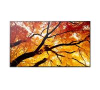 Sharp Display Solutions 32 M-Series Large Format FHD 450CD/M2 D-Led Backlight 24/7 Proof USB Mediaplayer 60006052