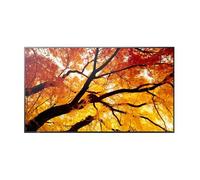 Sharp MultiSync M502 Display professionale grande formato da 50 pollici