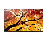 Sharp MultiSync M552 Display LCD da 55" per messaggi di grandi dimensioni