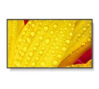 Sharp Display Solutions MULTISYNC ME651 5028695119420