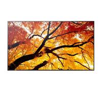 Sharp Monitor LCD MultiSync E244F da 24" per l'ufficio e per applicazioni industriali