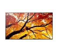Sharp Monitor Pannello Piatto per Segnaletica Digitale 4K Ultra HD 108 cm Nero