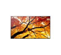 Sharp MultiSync M432 Display professionale grande formato da 43 pollici