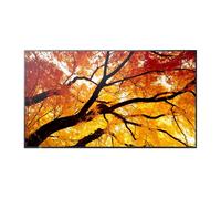 Sharp MultiSync M862 Display professionale di grandi dimensioni da 86 pollici