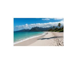 Sharp MultiSync UN553S Display videowall da 55 pollici