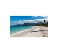 Sharp MultiSync UN553V Display videowall da 55 pollici