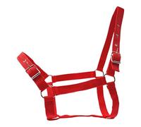 Sharplace Cavezza per Cavalli, finimenti, Accessori equestri, Attrezzatura da addestramento in Nylon Regolabile per Fattoria, ippodromo, competizioni, pascolo e, Rosso