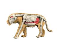 Sharplace Modello didattico del Corpo Animale, Puzzle Realistico di biologia Animale, Giocattolo educativo, Giocattolo didattico sulle Parti del Corpo e degli, 3107