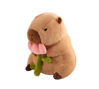 Sharplace Peluche di, Decorazione per La Camera da Letto, Compagno di Giochi per Dormire, Regalo di Compleanno per Bambini, Ragazzi, Adulti E, Fiore 30 cm