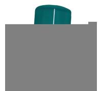 Sharplace Protezione Invernale per Piante, Resistente al, in Tessuto Non Tessuto, con Coulisse Regolabile, per Impedire L'ingresso degli Uccelli, 100x120cm