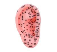 Sharplace Strumento didattico per il modello dei punti di agopuntura dell'orecchio umano con supporto per punti di agopuntura in PVC, modello della zona