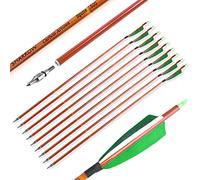 SHARROW 12pcs Frecce in Carbonio per Tiro con L'Arco 30 Pollici Freccia di Carbonio Fletching Piume Naturali Grano di bambù 500 Spine Frecce di Caccia per Arco Ricurvo (Verde)