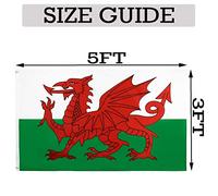 SHATCHI Grande bandiera del Galles da 1,5 x 90 cm, bandiera nazionale del Galles Cymru, tessuto in poliestere con occhielli in ottone, per tifosi di calcio e rugby, rosso, verde, bianco