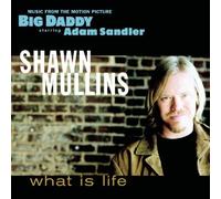 Shawn Mullins What is life ('Big daddy')