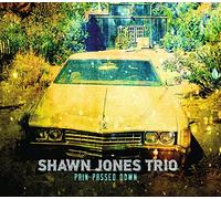 Shawn -Trio- Jones - Pain Passed Down
