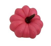 SHCHNA Decorativi Frutta Finta Artificiali 8 Modelli di Frutta Artificiale Simulazione Zucca Adatti for La Decorazione delle Feste Casa Cucina Modello(Pink)