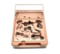 SHCHNA Formica Casa Formicaio 3D Piatto in Plastica Formicaio Nido Fattoria Gesso Cintura Ecologica Area di Alimentazione Piscina Idratante Castello delle Formiche Terrario
