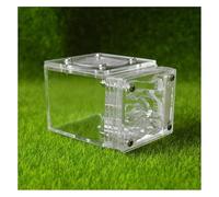SHCHNA Formica Casa Formicaio Quadrato Castello di Formiche Acrilico Trasparente Habitat di Formiche Fatto A Mano Ecosistema Educativo Unico di Colonie di Formiche Terrario(Transparent)
