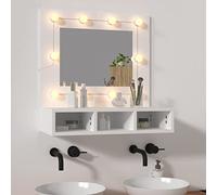 ShCuShan Mobile a Specchio con LED Bianco 60x31,5x62 cm,Armadietto bagno con luce Specchio contenitore con Illuminazione LED