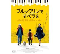 She Came To Me (DVD) Anne Hathaway