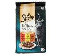 SHE DDJ manzo pollo agnello salsa 6 x 50g