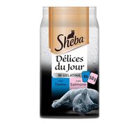 SHE DDJ tonno salmone pesce bianco gelatina 12x6x50g