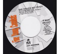 She Drives Me Crazy/Pull The Sucker Off (NM 45 rpm)
