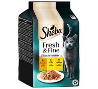 SHEBA Mp Fresco & Bene Tacchino, Pollo & Pollame IN Gelatina 36 X 50g