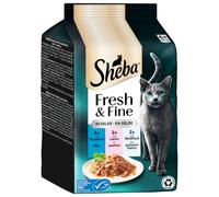 SHEBA Mp Fresco & Bene Tonno, Salmone & Leucisco IN Gelatina 36 X 50g