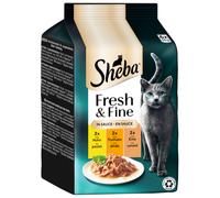 Sheba Délices du Jour 72 x 50 g Umido per gatti - Pollo, Tacchino, Anatra in salsa