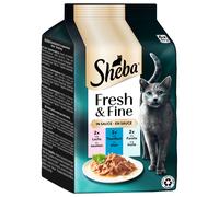 Sheba Délices du Jour 72 x 50 g Umido per gatti - Salmone, Tonno, Trota in salsa