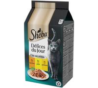 SHEBA Délices Du Jour in Jelly Cat Busta Multipack 6x50G MIX CARNE