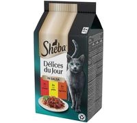 SHEBA Délices Du Jour in Salsa Cat Busta Multipack 6x50G MANZO POLLO AGNELLO