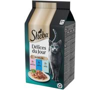 SHEBA Délices Du Jour in Salsa Cat Busta Multipack 6x50G SALMONE TONNO TROTA