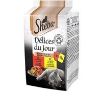 SHEBA Délices Du Jour in Salsa Cat Busta Multipack 6x50G MANZO POLLO AGNELLO