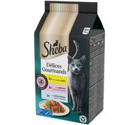 SHEBA Délices Gourmands Cat Busta Multipack 6x50G TASTE OF HAWAII