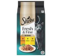SHEBA Fresh & Fine sacchetti 6x50 g cibo umido per gatti in salsa con pollo, tacchino, anatra