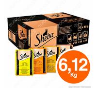 Sheba in Gelatina Cibo per Gatti con Pollo, Tacchino, Pollame ed Anatra - 72x85g