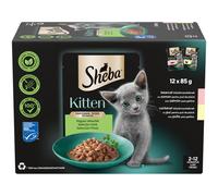 Sheba Kitten 4Pack selezione di bustine - salmone, pollo 12 x 85 g