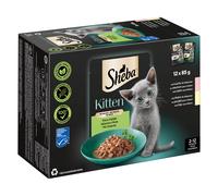 Sheba Kitten Variazioni Buste 12 x 85 g Umido per gatto - Squisite varietà in salsa (salmone, pollo)