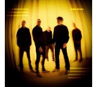 shed seven