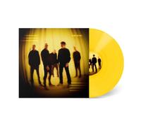 shed seven